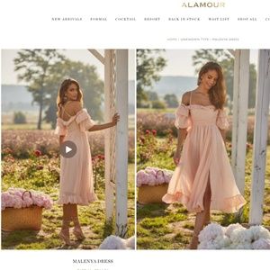 Brand New w/ Tags alamour the label malenya dress size m